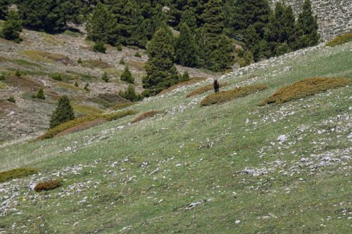 01052025-DSC 1945-DxO DeepPRIME-3