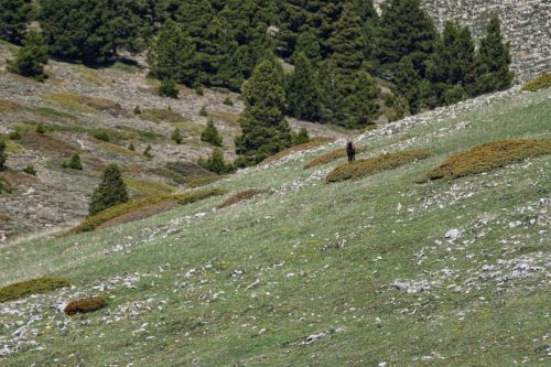 01052025-DSC 1946-DxO DeepPRIME-3