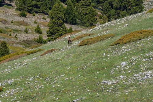 01052025-DSC 1949-DxO DeepPRIME-3