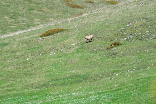 01052025-DSC 1954-DxO DeepPRIME-3