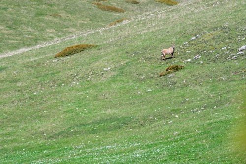 01052025-DSC 1955-DxO DeepPRIME-3