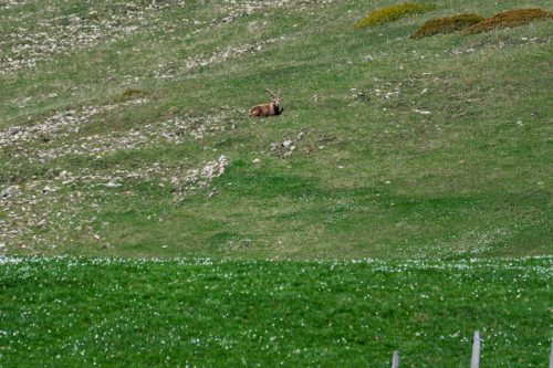 01052025-DSC 1978-DxO DeepPRIME-3