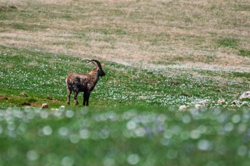 01052025-DSC 1987-DxO DeepPRIME-3