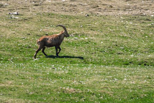01052025-DSC 2002-DxO DeepPRIME-3